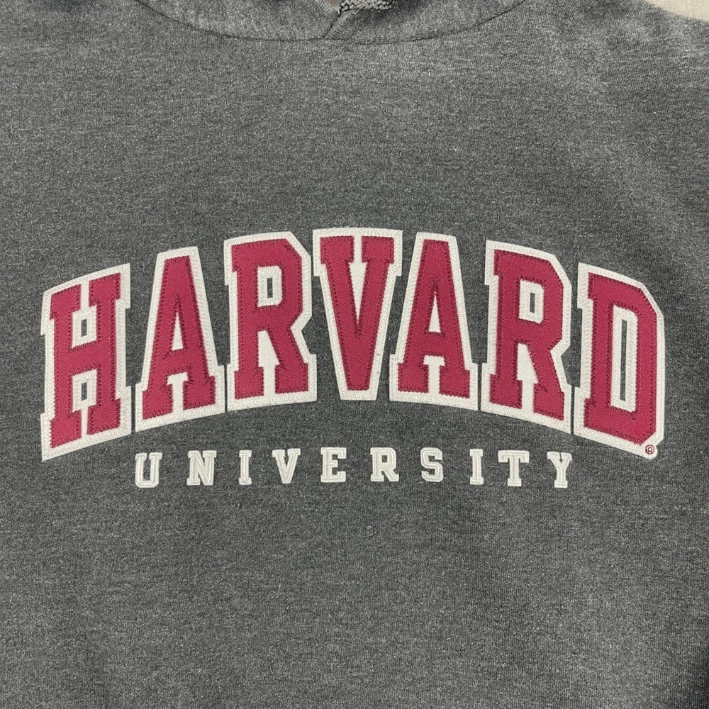 Harvard University Champion Mens Medium Gray Hoodie Pullover Sweatshirt